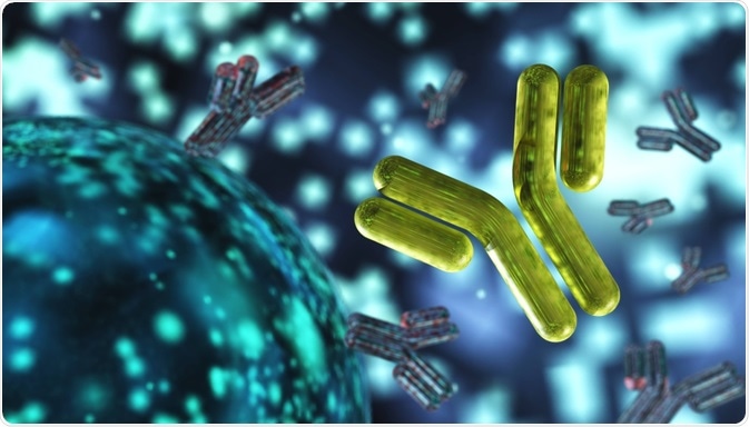 Antibodies Antibodies