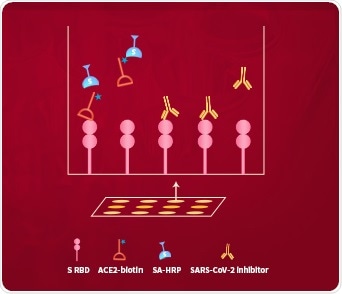 The principle of SARS-CoV-2 inhibitor screening kit. The principle of SARS-CoV-2 inhibitor screening kit.