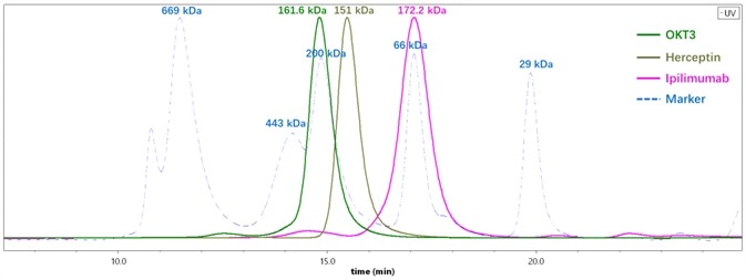 The molecular weights of three different antibodies determined by SEC-MALS are very close to the sequence weights. A) OKT3, b) Herceptin, c) Ipilimumab. The molecular weights of three different antibodies determined by SEC-MALS are very close to the sequence weights. A) OKT3, b) Herceptin, c) Ipilimumab.