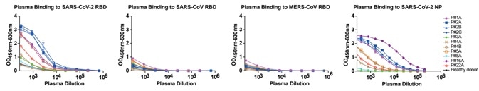 Analyses of plasma responses specific to SARS-CoV-2. Analyses of plasma responses specific to SARS-CoV-2.