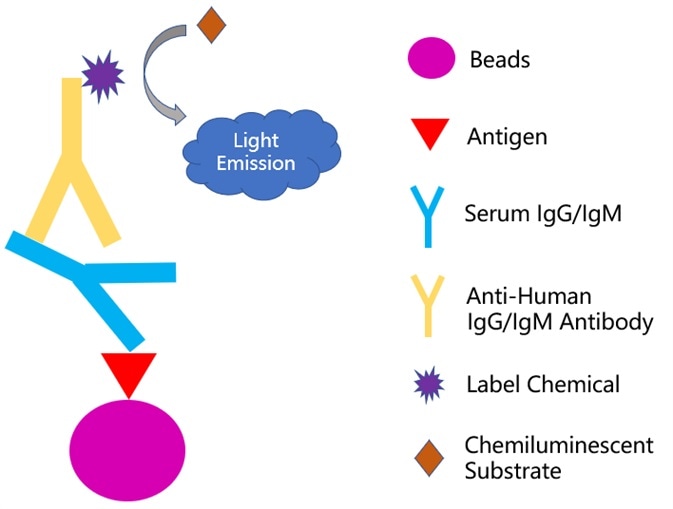 Principle of chemiluminescence-immunoassay method.