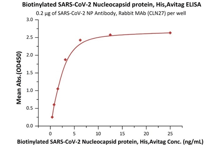 N Protein in COVID-19 Diagnostic Kits