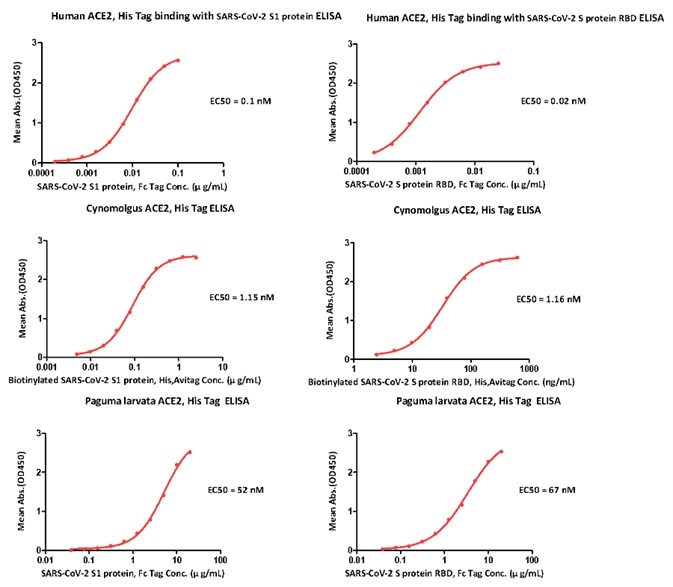 ELISA Binding activity results.