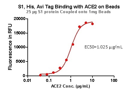 S1,His,Avi Tag Binding with ACE2 on Beads.