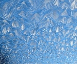 Processes for Sample Freezer Failure