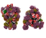SARS-CoV-2 S Protein Glycosylation