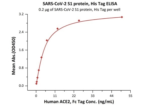 Immobilized SARS-CoV-2 S1 protein, His Tag (Cat. No. S1N-C52H4) at 2 μg/mL (100 μL/well) can bind Human ACE2, Fc Tag (Cat. No. AC2-H5257) with a linear range of 0.2-6 ng/mL.