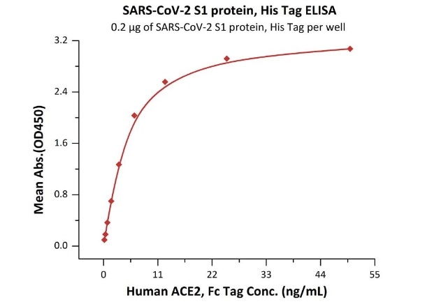 Overview of ELISA Testing for COVID-19 Antibodies