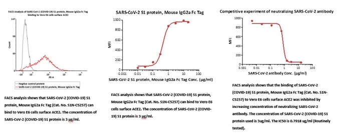 Cell-Based Assays to Fight COVID-19