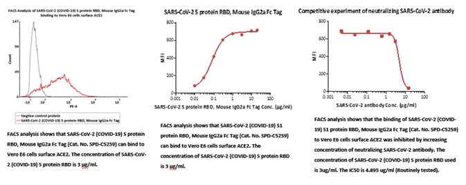 Cell-Based Assays to Fight COVID-19