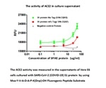 Cell-Based Assays to Fight COVID-19