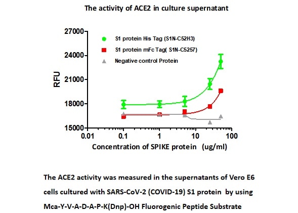 Cell-Based Assays to Fight COVID-19