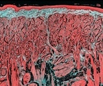 What is Intravital Microscopy?