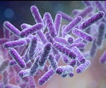 What is an Exoenzyme?
