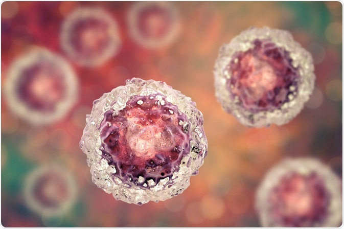 cancer stem cells