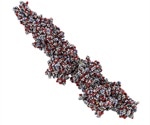 What is D-Dimer?