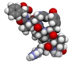 What is the Renin-Angiotensin-Aldosterone System?