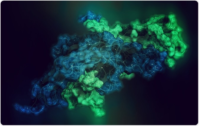 Glycoprotein