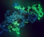 What is a Glycoprotein?