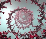 Developing Vaccines and Therapeutics by Exploiting Structure in Spherical Nucleic Acids