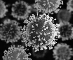 Interesting study on which species may be infected by SARS-CoV-2