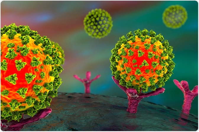 SARS-CoV-2 Virus