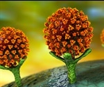 Avacta provides update on Affimer therapy for COVID-19 infection