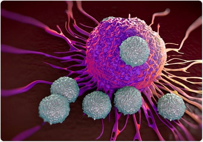 T Cells Attacking T Cells Attacking