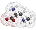Non-Protein Amino Acids in Human Disease