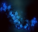 What are Proteoforms (Protein Variation)?
