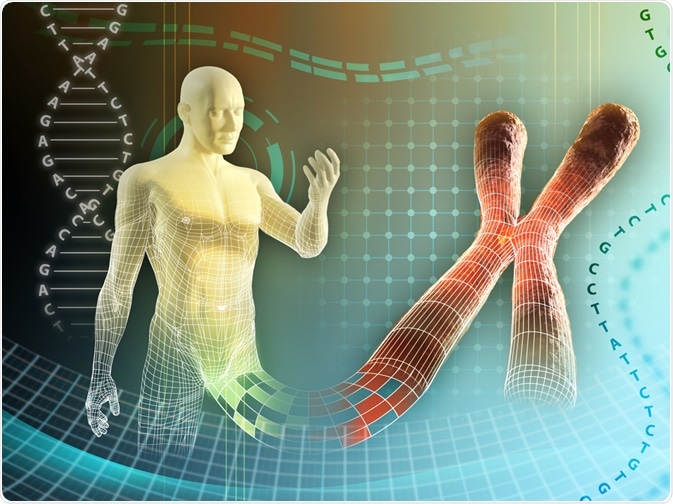 Human Genome Concept Human Genome Concept