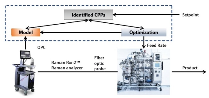 Real-time Glucose Control in Cell Culture Bioprocesses using Raman Technology Real-time Glucose Control in Cell Culture Bioprocesses using Raman Technology
