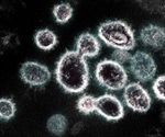 Cat catches coronavirus from owners