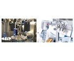 Monitoring of a Cell Culture Using Cross-Scale In Situ Raman