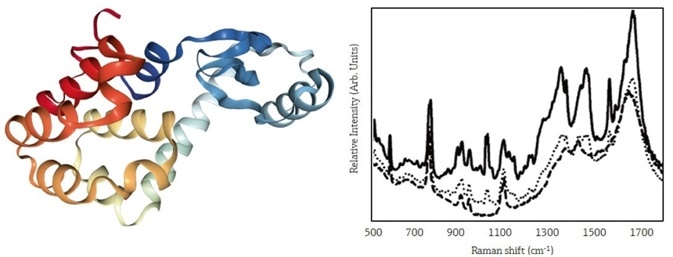 Using In-Line Raman Monitoring of Protein Crystallization Using In-Line Raman Monitoring of Protein Crystallization