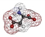What is Aspartic Acid?