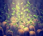 Antioxidants in diet could raise risk of bowel cancer, new study reveals