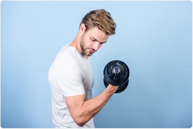 Muscle