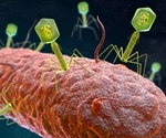 What is Viral Transduction?