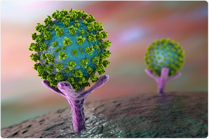 SARS-CoV-2 Virus SARS-CoV-2 Virus