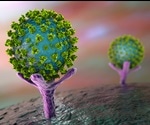 The Size of SARS-CoV-2 and its Implications