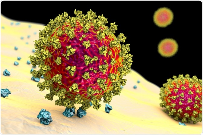 SarsCOV2 Virus binding to ACE-2