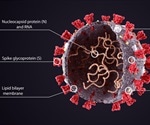 How Does the SARS-CoV-2 Genome Compare to Other Viruses?