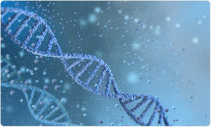 Genetics