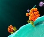 What is a Cytokine Storm?