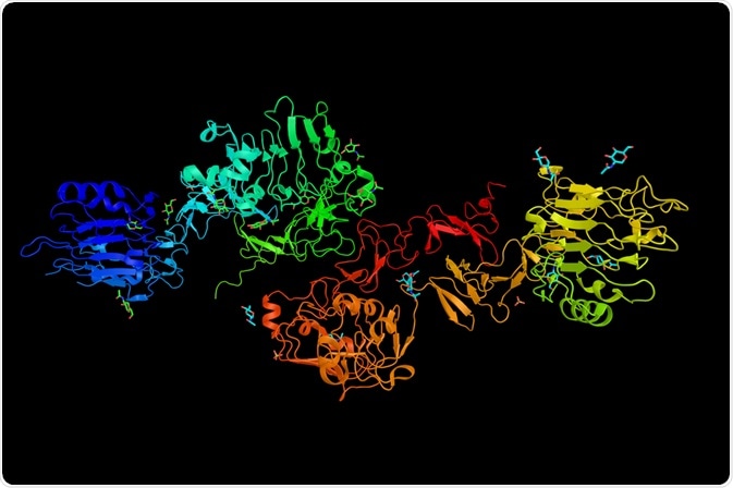 Cellular Protease