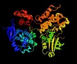 What is Protein Phosphorylation?
