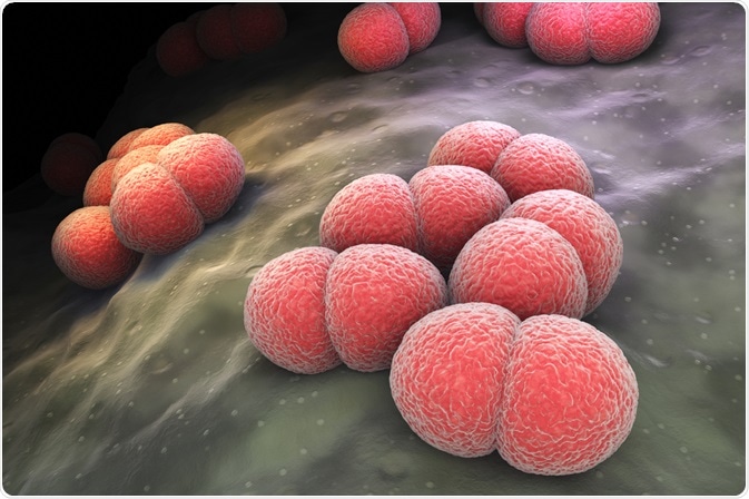 Meningococcal disease Meningococcal disease