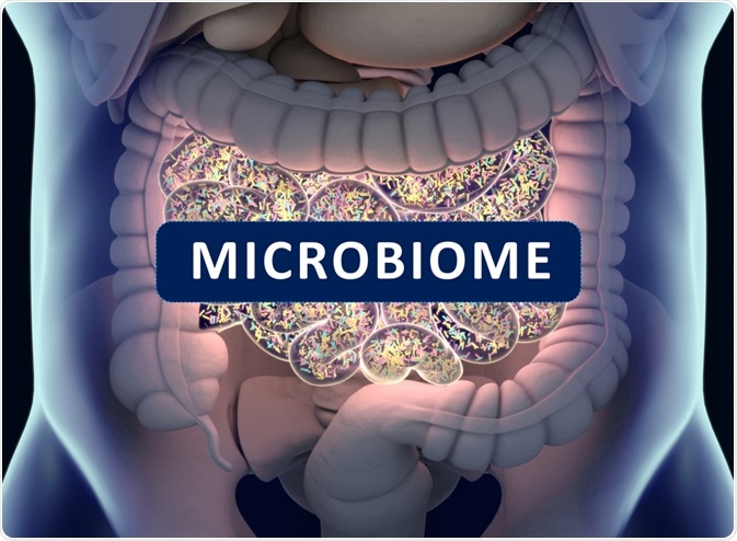 Microbiome Microbiome