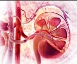 What is Renalase?
